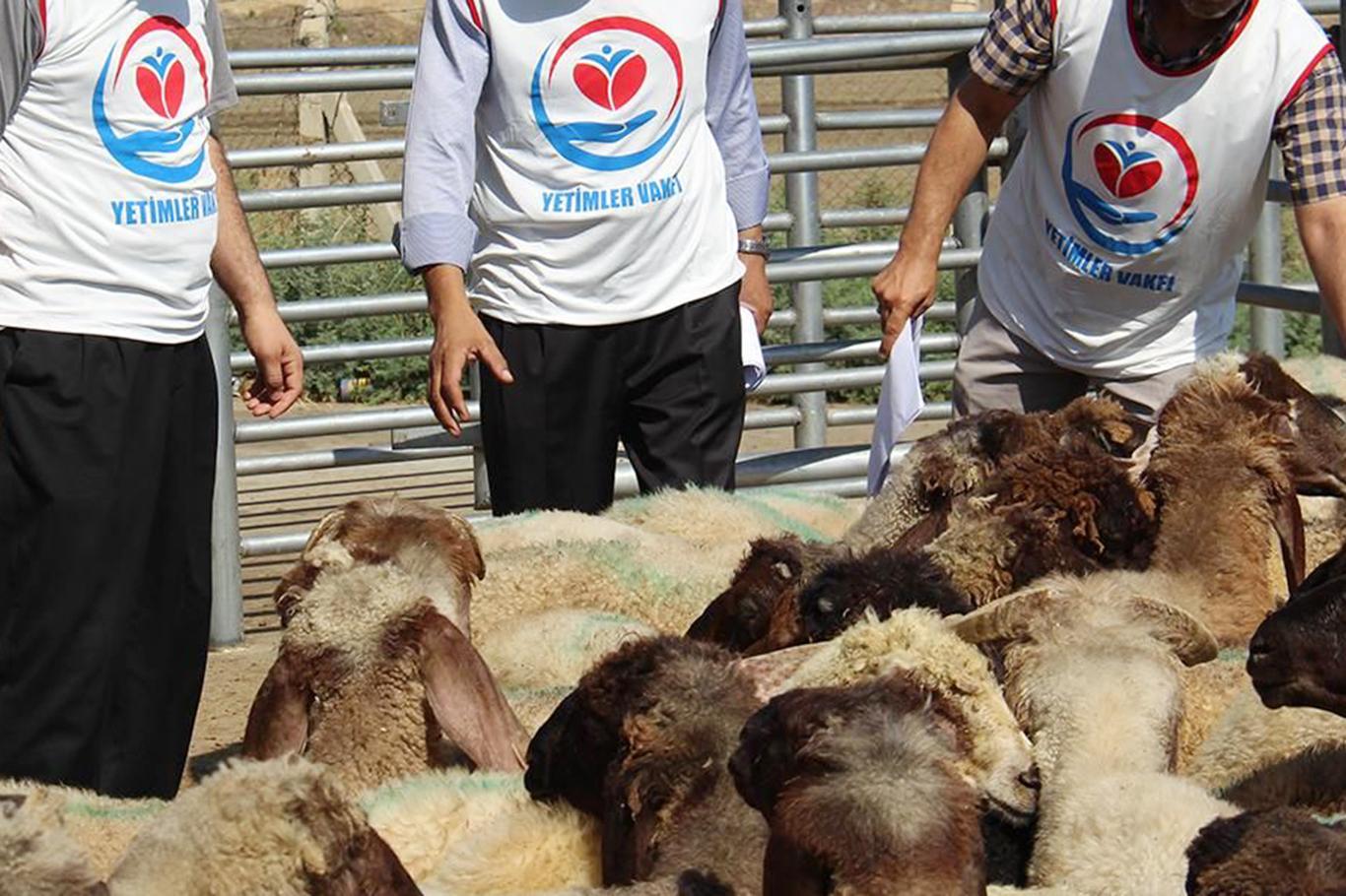 Yetimler Vakfı'ndan "kurban bağışı" çağrısı